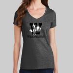 Women's V Neck Tee - Decorated Thumbnail